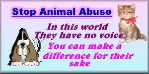 stopabuse.gif